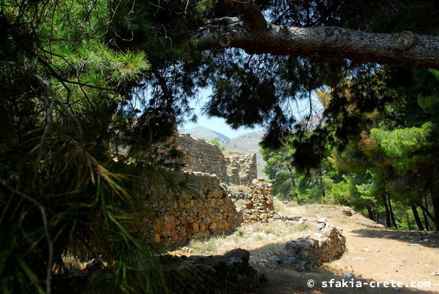 Photo report of a trip around Sfakia, Crete, May 2006